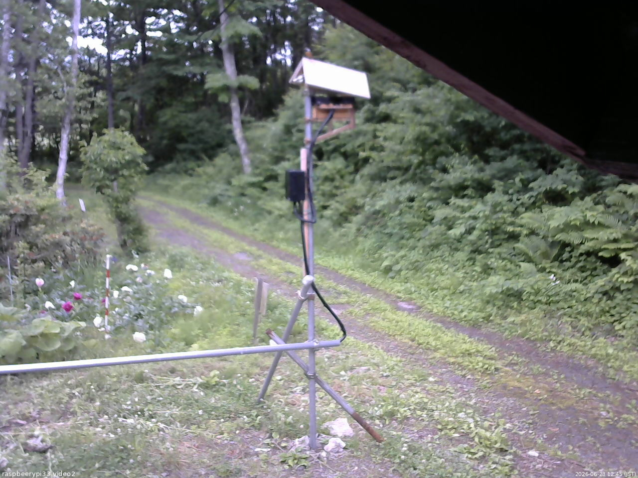 長野県菅平高原 ゆたか山荘 南側 2026/06/23 12:45