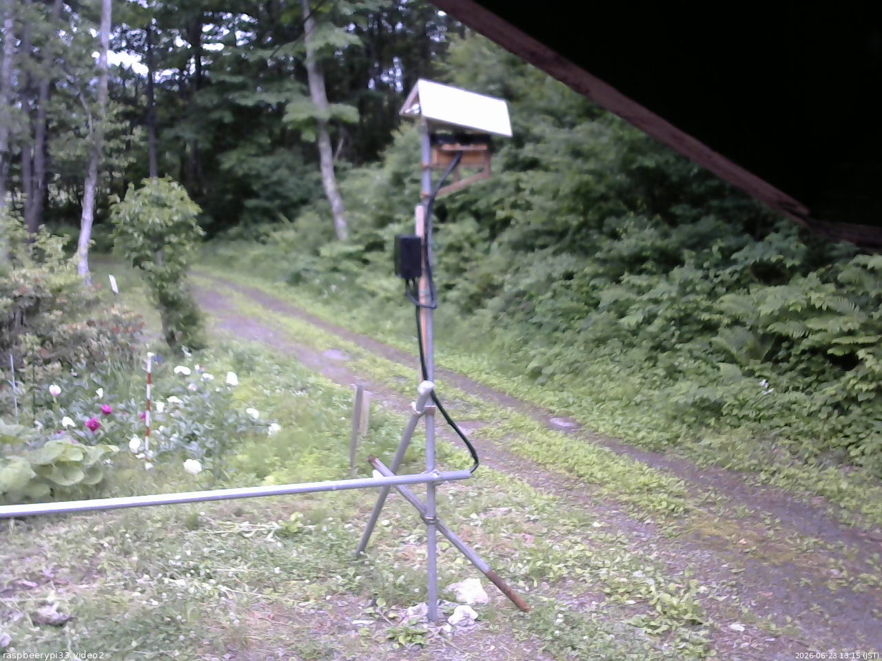 長野県菅平高原 ゆたか山荘 南側 2026/06/23 13:15
