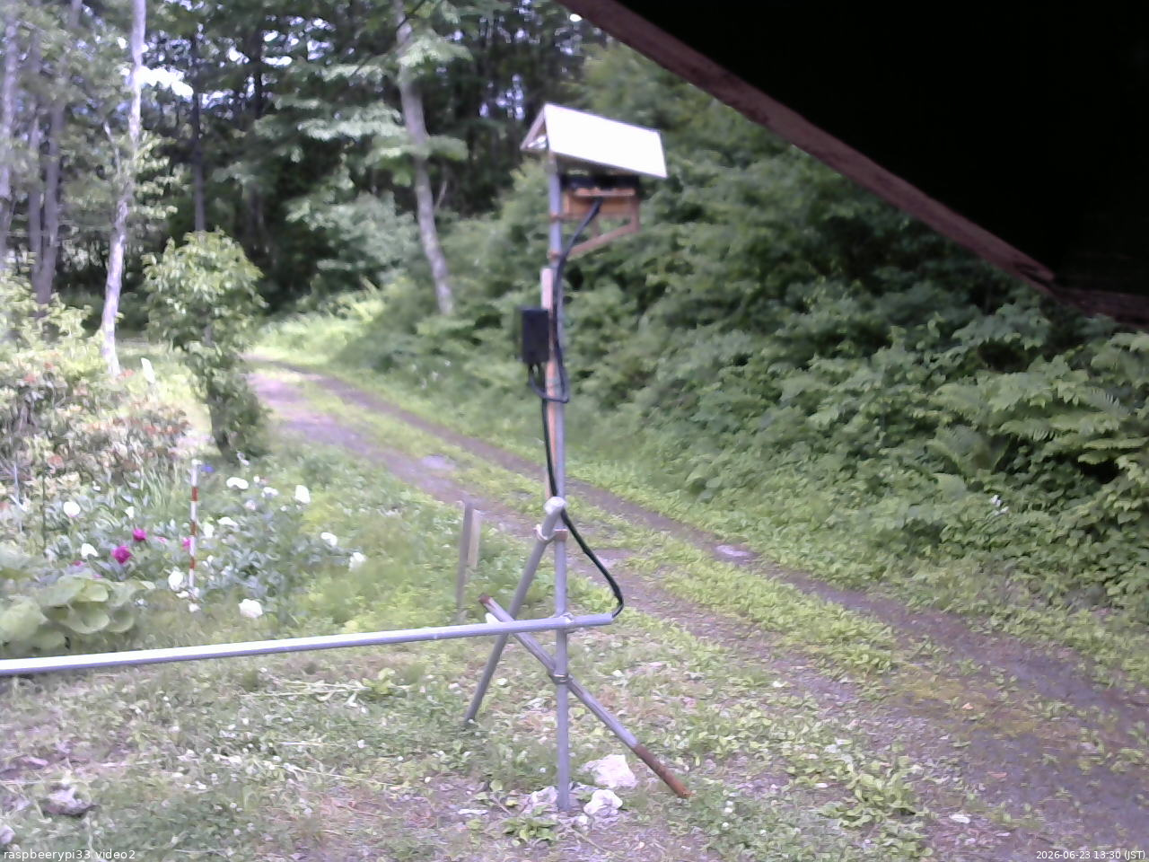 長野県菅平高原 ゆたか山荘 南側 2026/06/23 13:30