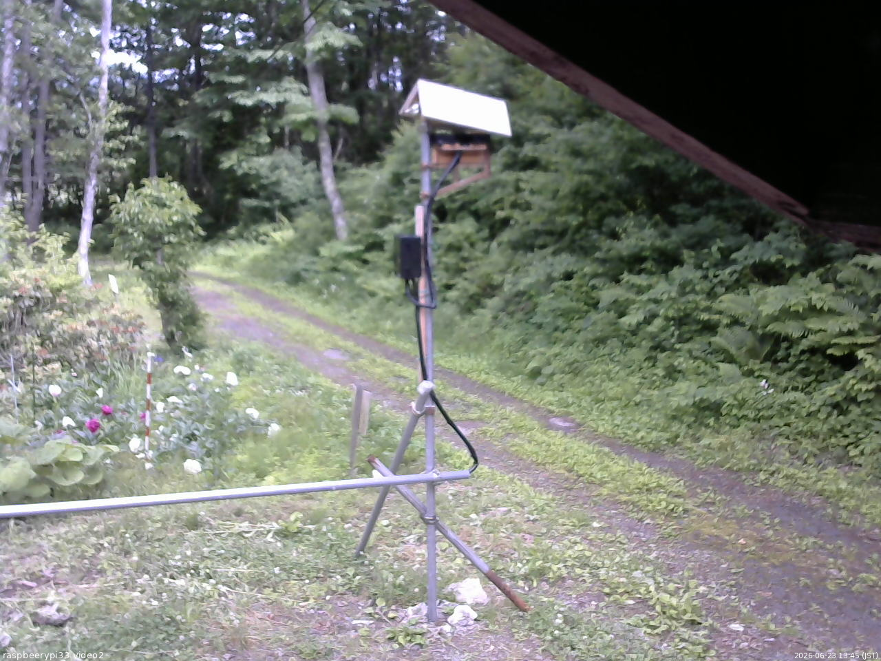 長野県菅平高原 ゆたか山荘 南側 2026/06/23 13:45