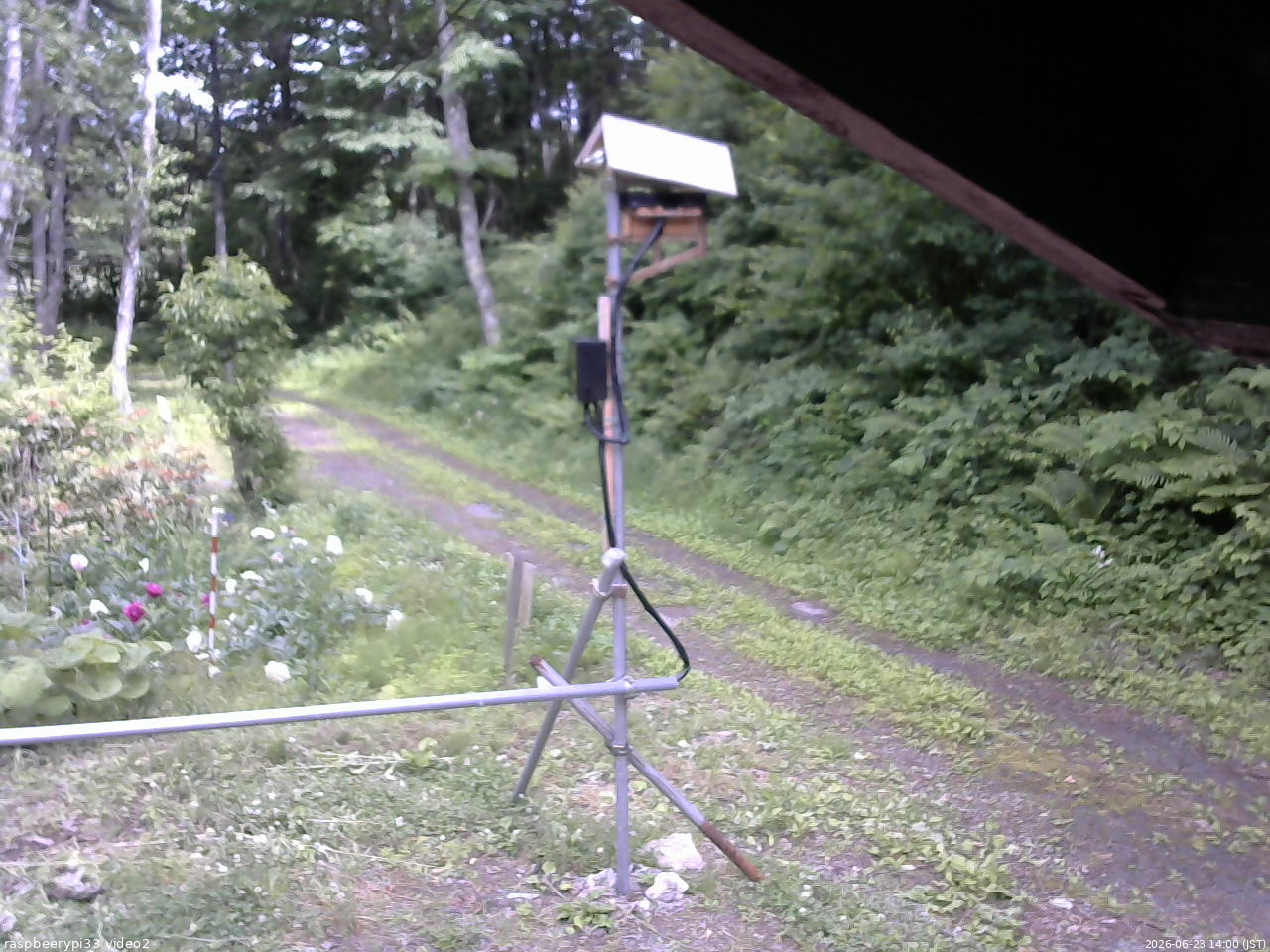 長野県菅平高原 ゆたか山荘 南側 2026/06/23 14:00