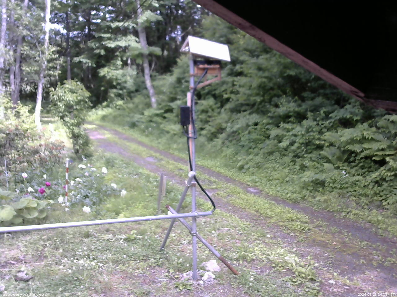 長野県菅平高原 ゆたか山荘 南側 2026/06/23 14:15