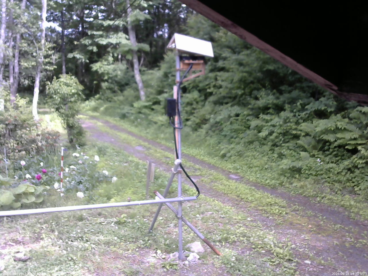 長野県菅平高原 ゆたか山荘 南側 2026/06/23 14:30