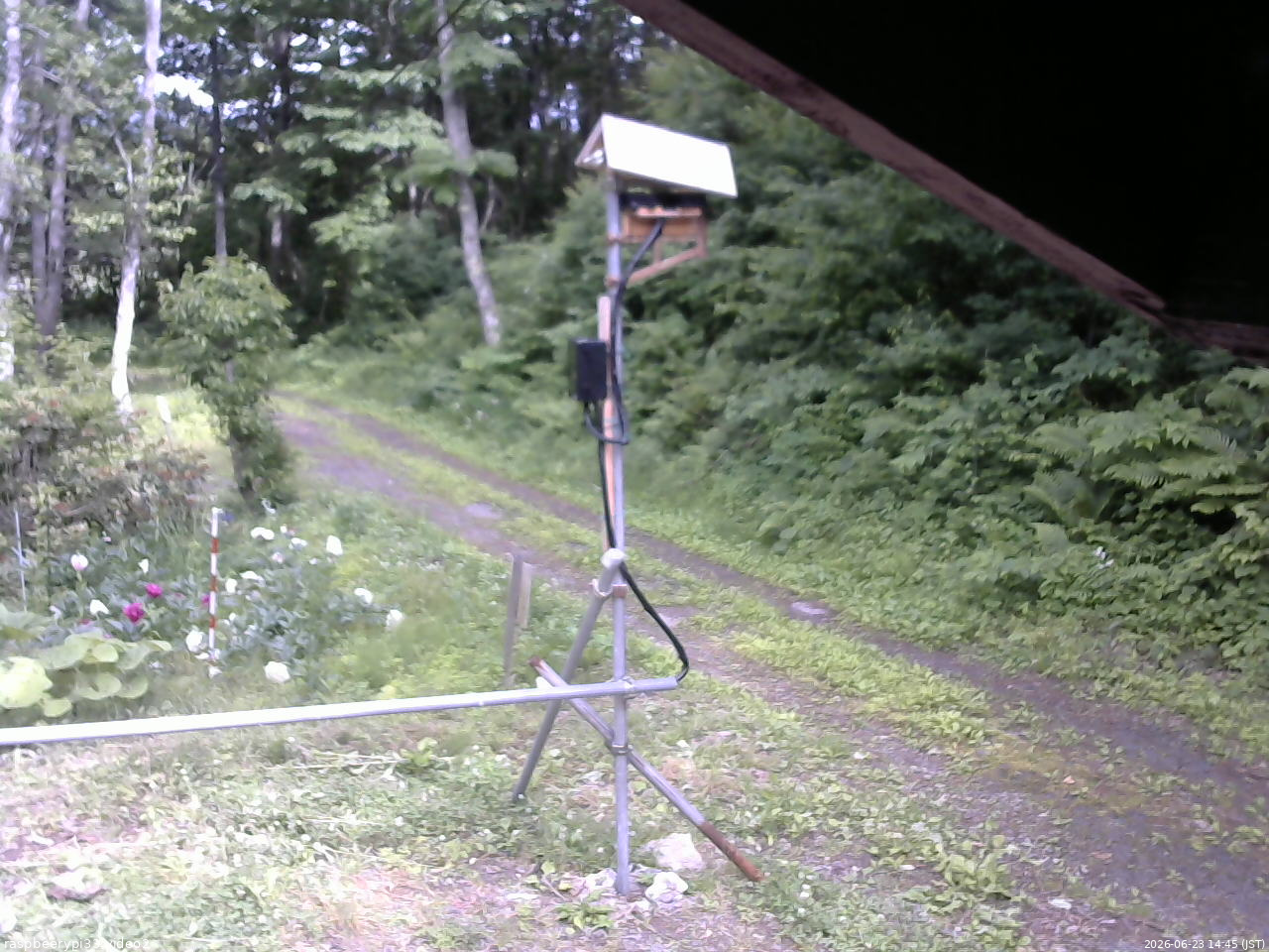 長野県菅平高原 ゆたか山荘 南側 2026/06/23 14:45
