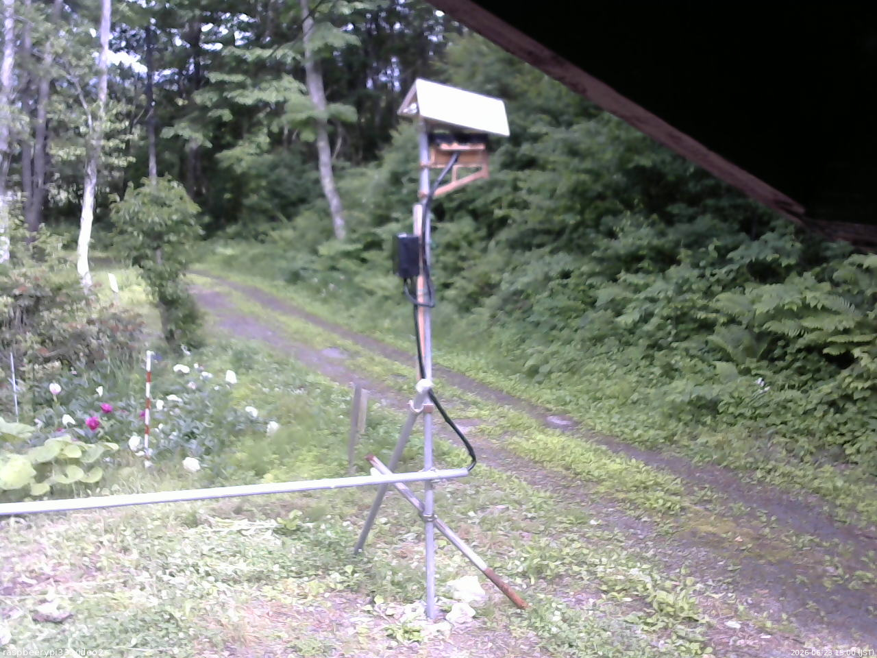 長野県菅平高原 ゆたか山荘 南側 2026/06/23 15:00