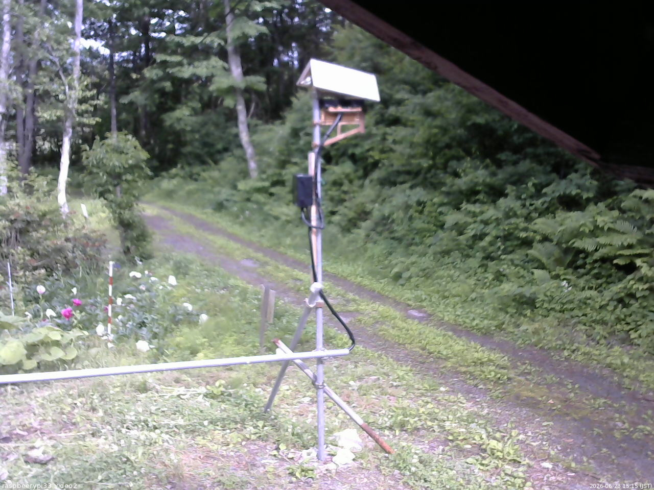 長野県菅平高原 ゆたか山荘 南側 2026/06/23 15:15