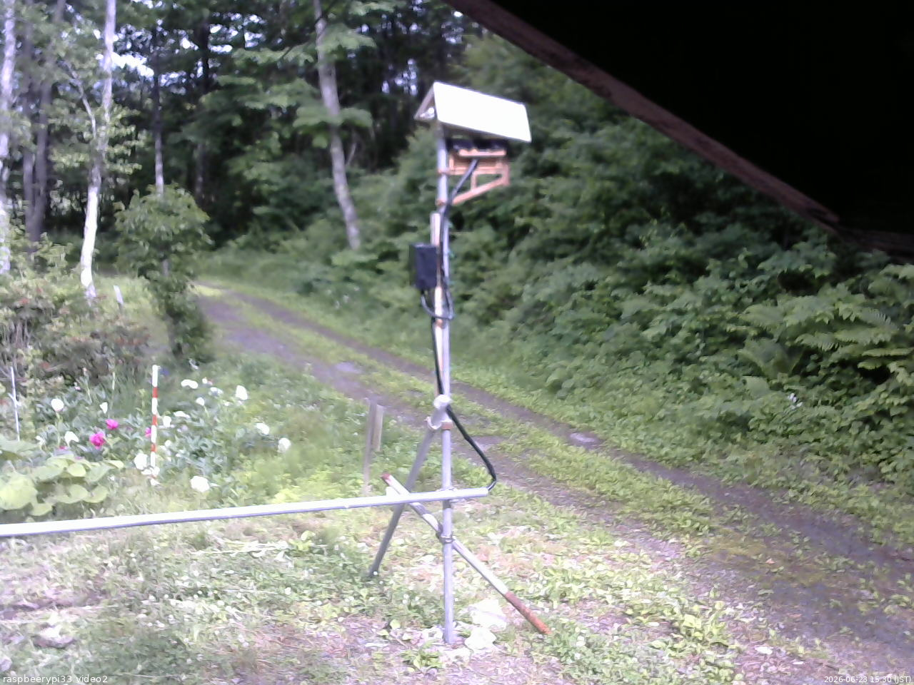 長野県菅平高原 ゆたか山荘 南側 2026/06/23 15:30