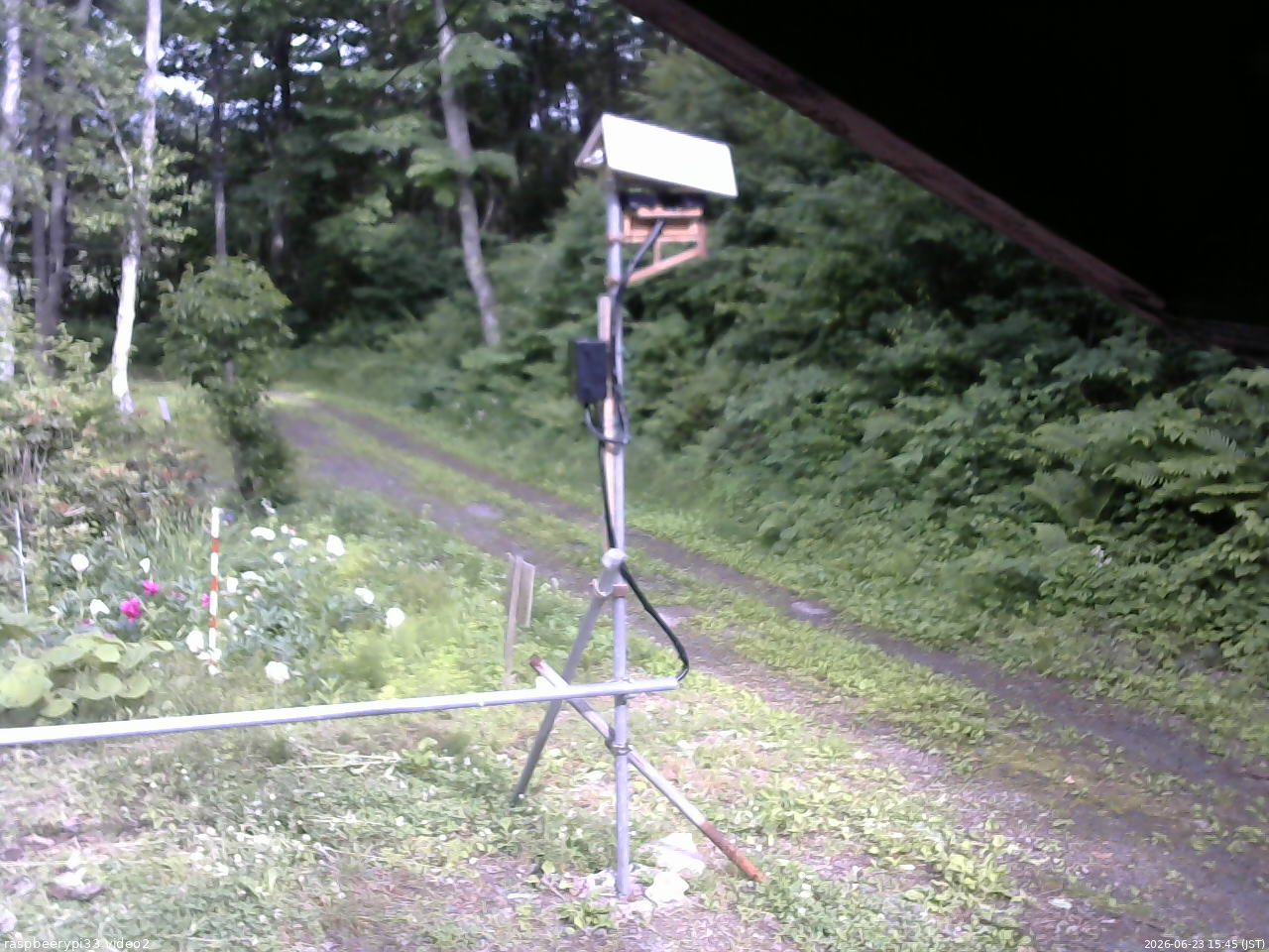 長野県菅平高原 ゆたか山荘 南側 2026/06/23 15:45