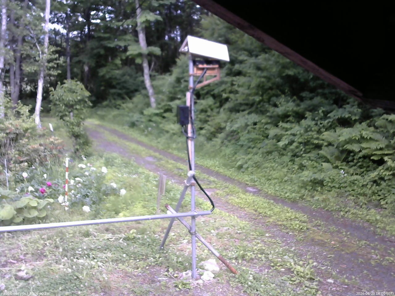 長野県菅平高原 ゆたか山荘 南側 2026/06/23 16:00