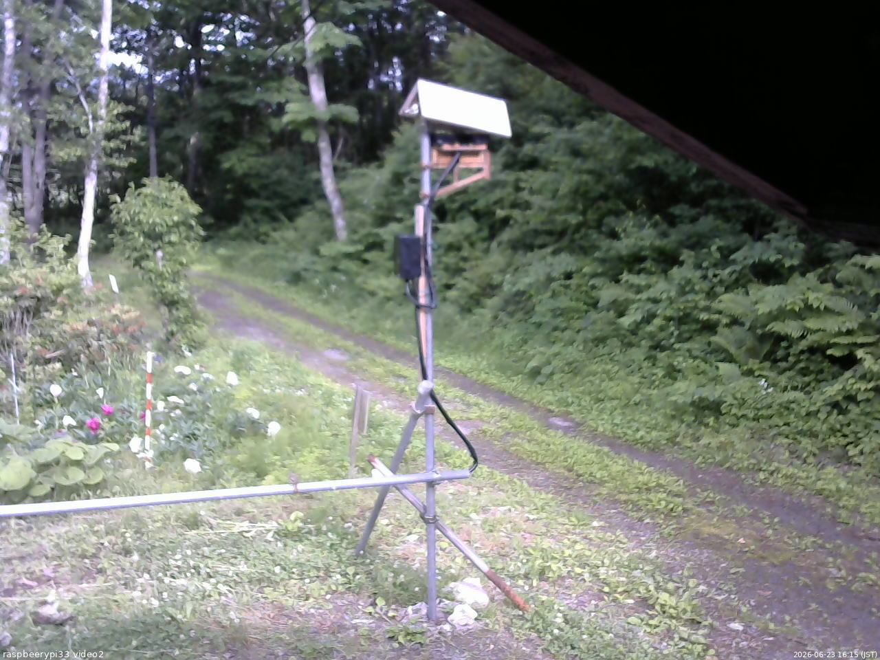 長野県菅平高原 ゆたか山荘 南側 2026/06/23 16:15