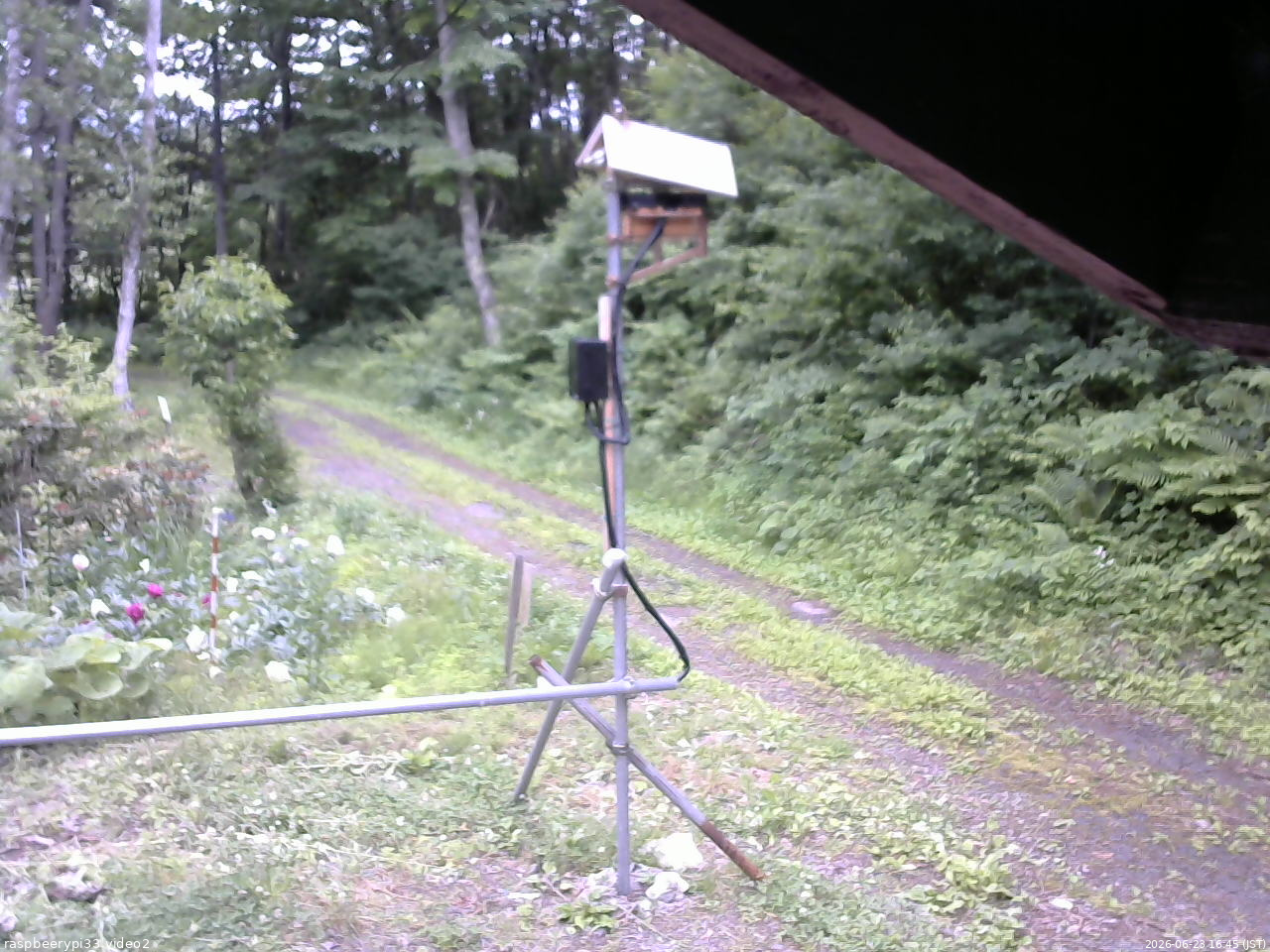 長野県菅平高原 ゆたか山荘 南側 2026/06/23 16:45