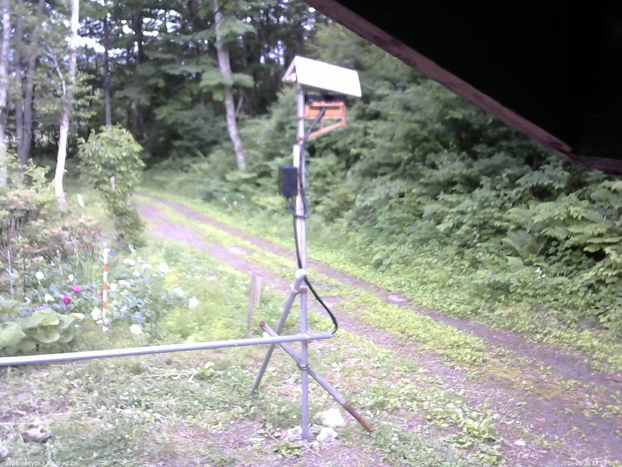 長野県菅平高原 ゆたか山荘 南側 2026/06/23 17:00