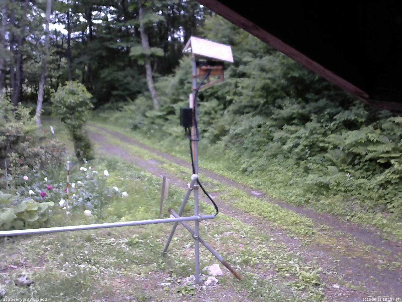 長野県菅平高原 ゆたか山荘 南側 2026/06/23 18:15
