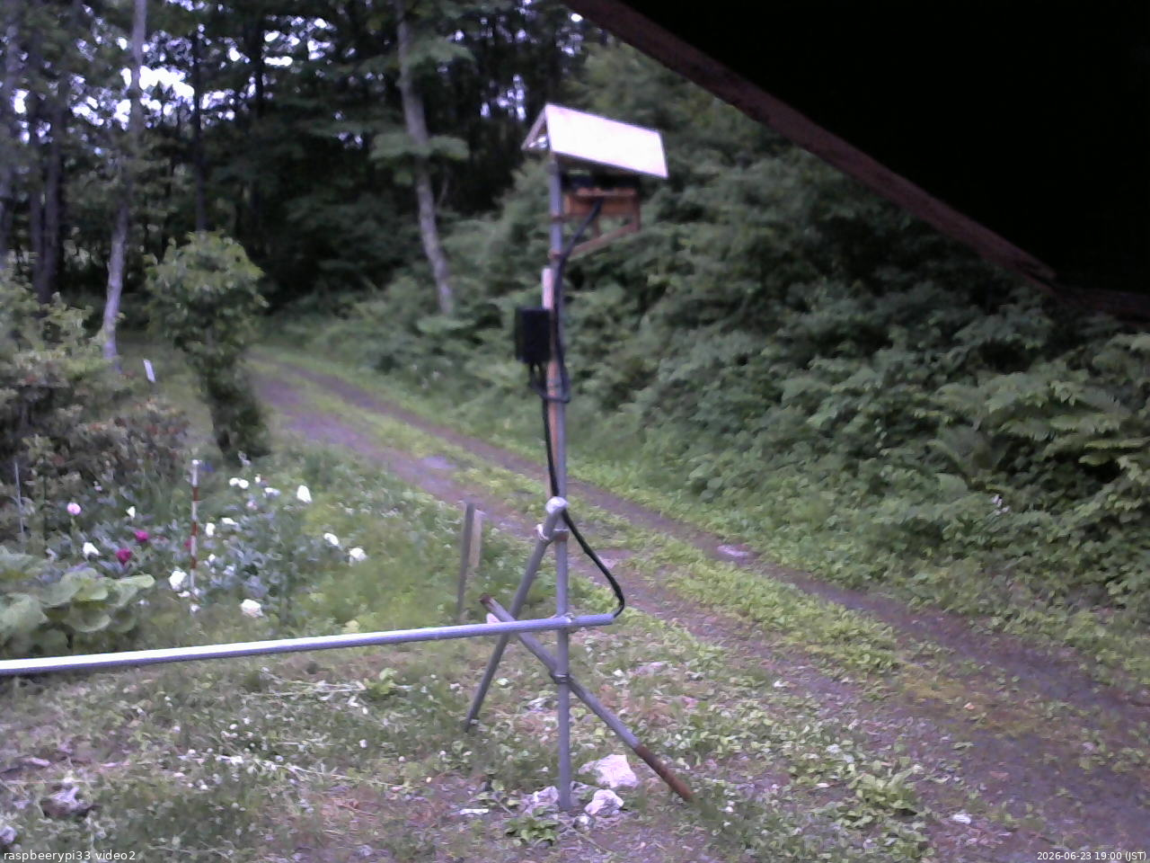 長野県菅平高原 ゆたか山荘 南側 2026/06/23 19:00