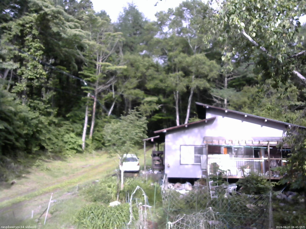 長野県菅平高原 ゆたか山荘 西側(坂上) 2026/06/23 06:45