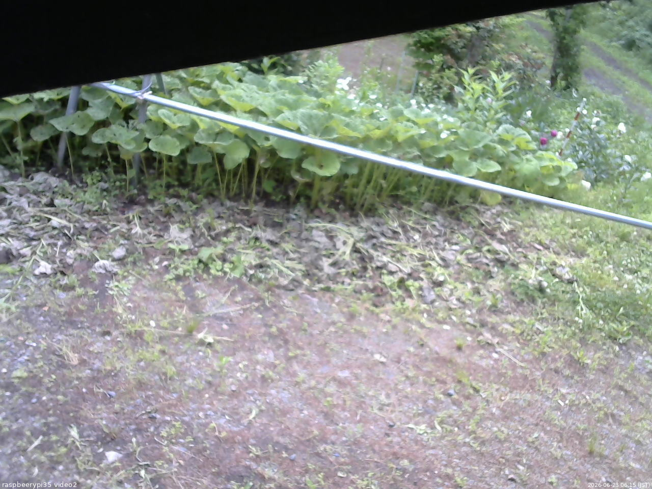 長野県菅平高原 ゆたか山荘 駐車場 2026/06/23 06:15