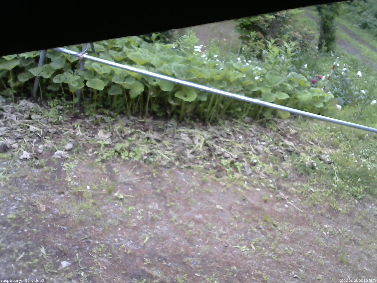 長野県菅平高原 ゆたか山荘 駐車場 2026/06/23 06:30