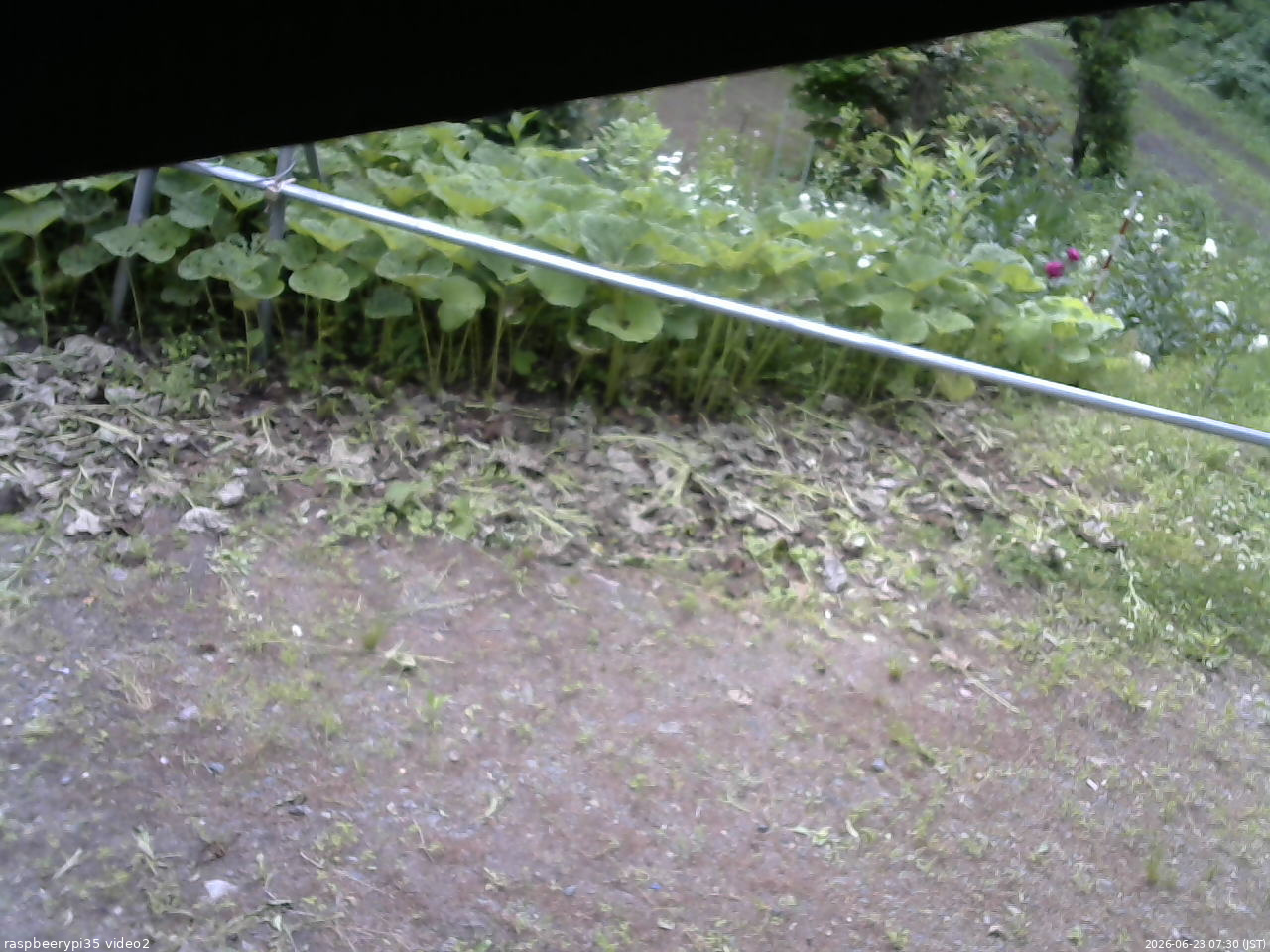 長野県菅平高原 ゆたか山荘 駐車場 2026/06/23 07:30