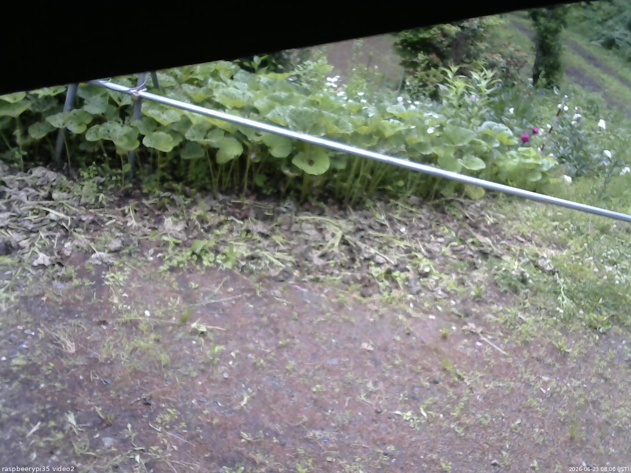 長野県菅平高原 ゆたか山荘 駐車場 2026/06/23 08:00