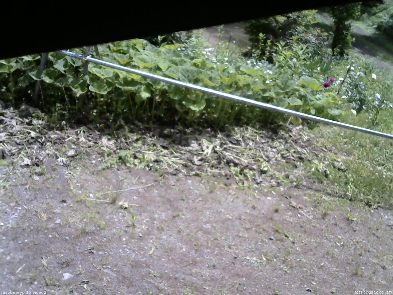 長野県菅平高原 ゆたか山荘 駐車場 2026/06/23 10:00