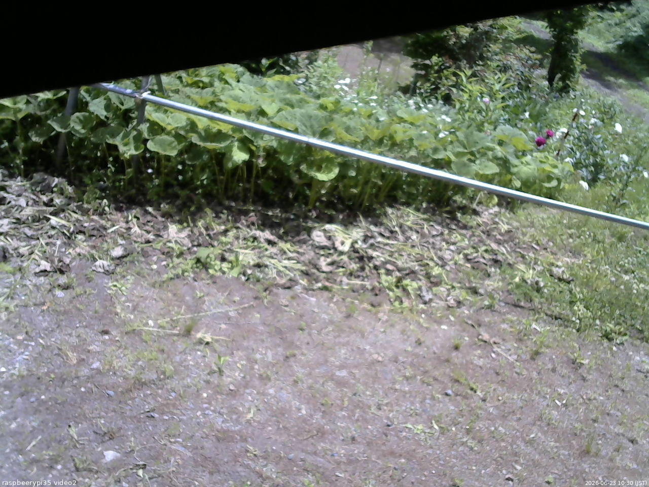 長野県菅平高原 ゆたか山荘 駐車場 2026/06/23 10:30