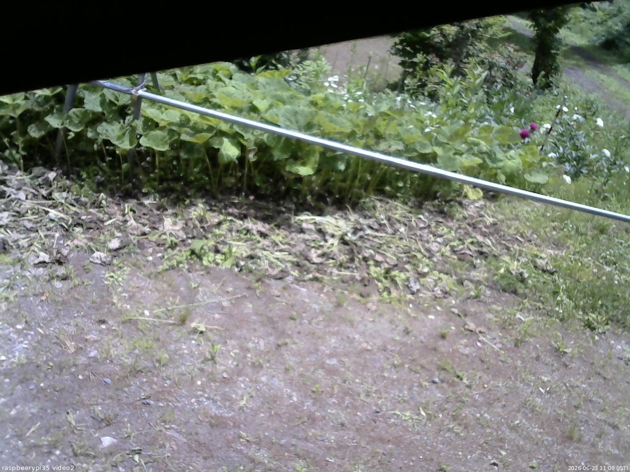 長野県菅平高原 ゆたか山荘 駐車場 2026/06/23 11:00