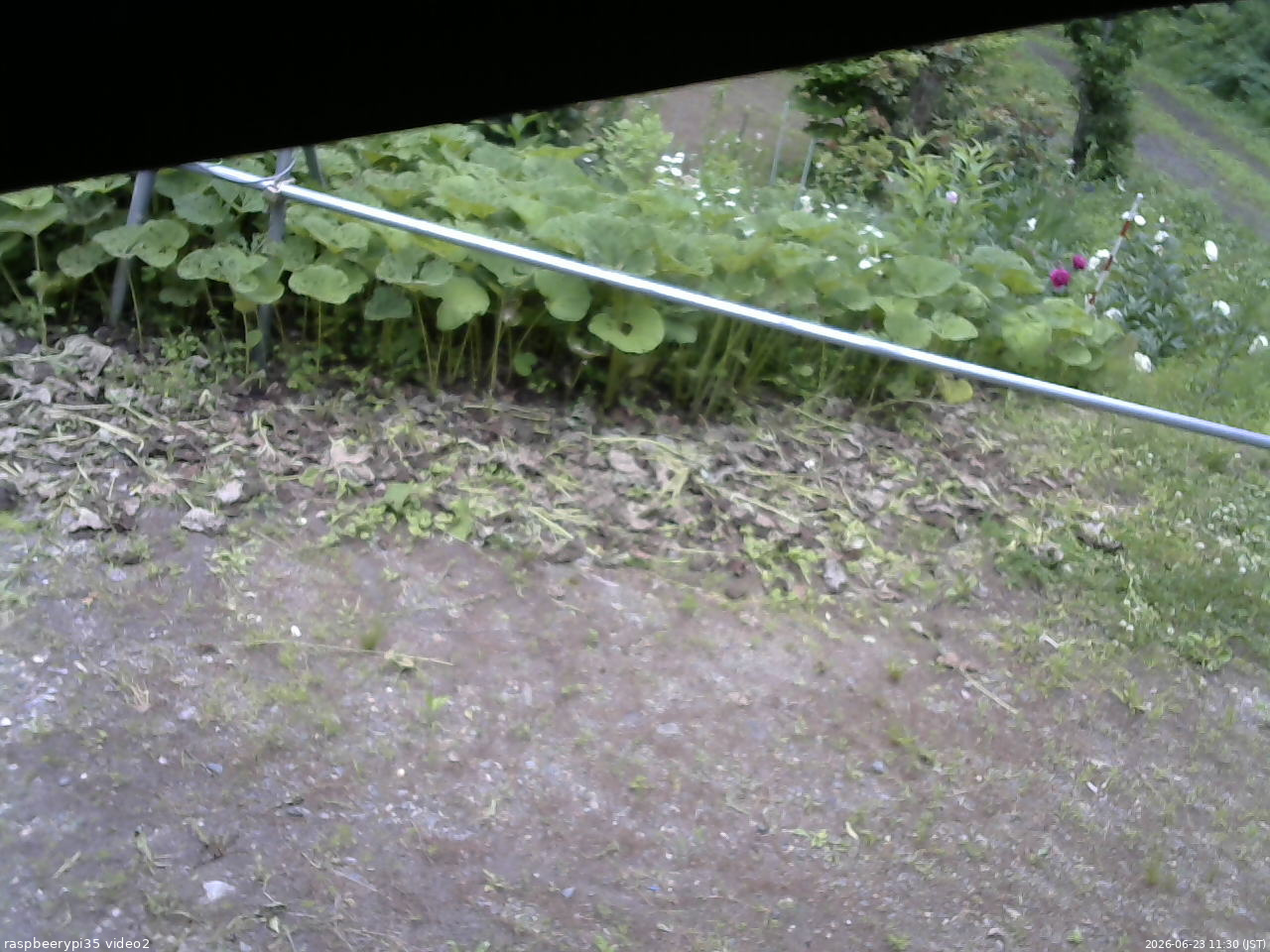 長野県菅平高原 ゆたか山荘 駐車場 2026/06/23 11:30