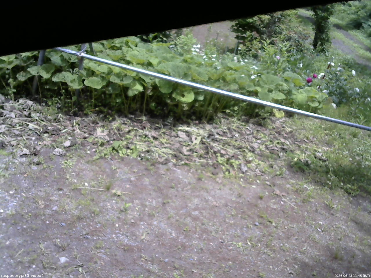長野県菅平高原 ゆたか山荘 駐車場 2026/06/23 11:45