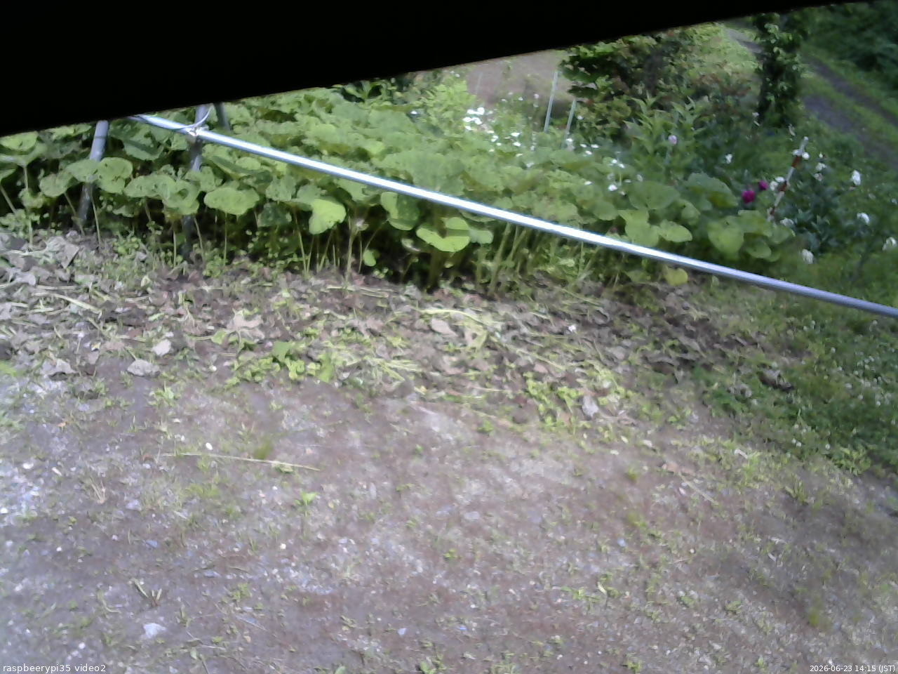 長野県菅平高原 ゆたか山荘 駐車場 2026/06/23 14:15