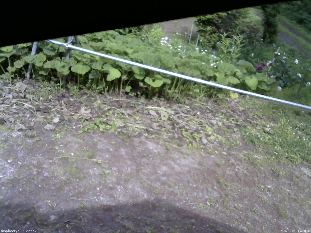 長野県菅平高原 ゆたか山荘 駐車場 2026/06/23 14:45