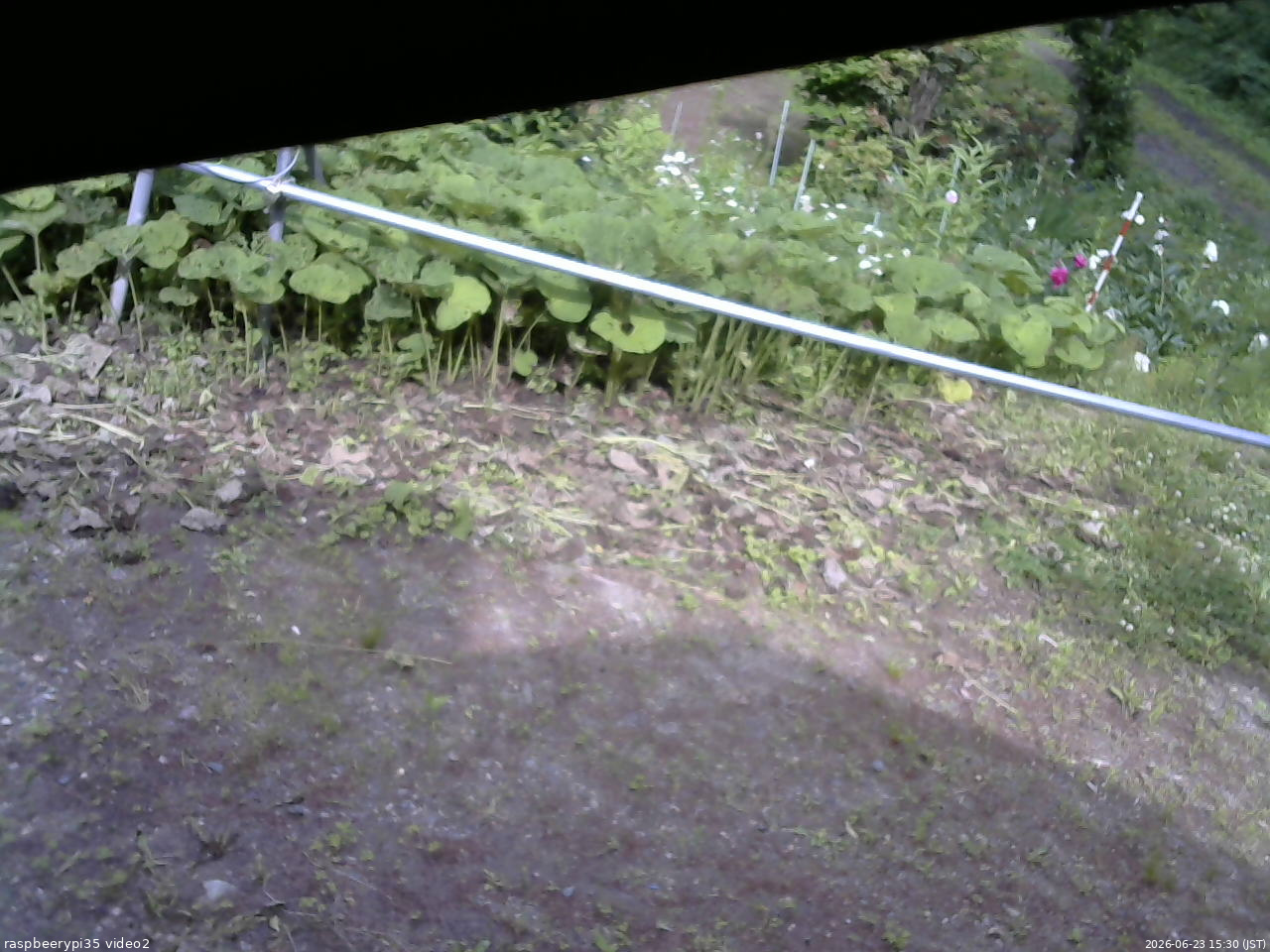 長野県菅平高原 ゆたか山荘 駐車場 2026/06/23 15:30