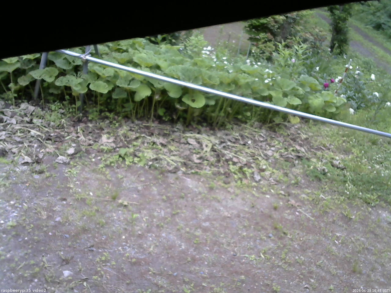 長野県菅平高原 ゆたか山荘 駐車場 2026/06/23 16:45
