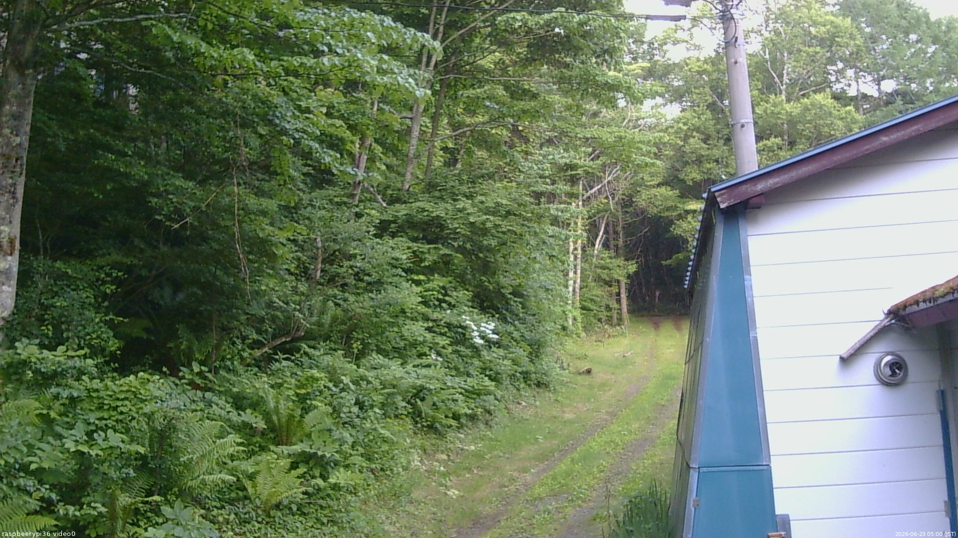 長野県菅平高原 ゆたか山荘 ゆたか山荘 2026/06/23 05:00