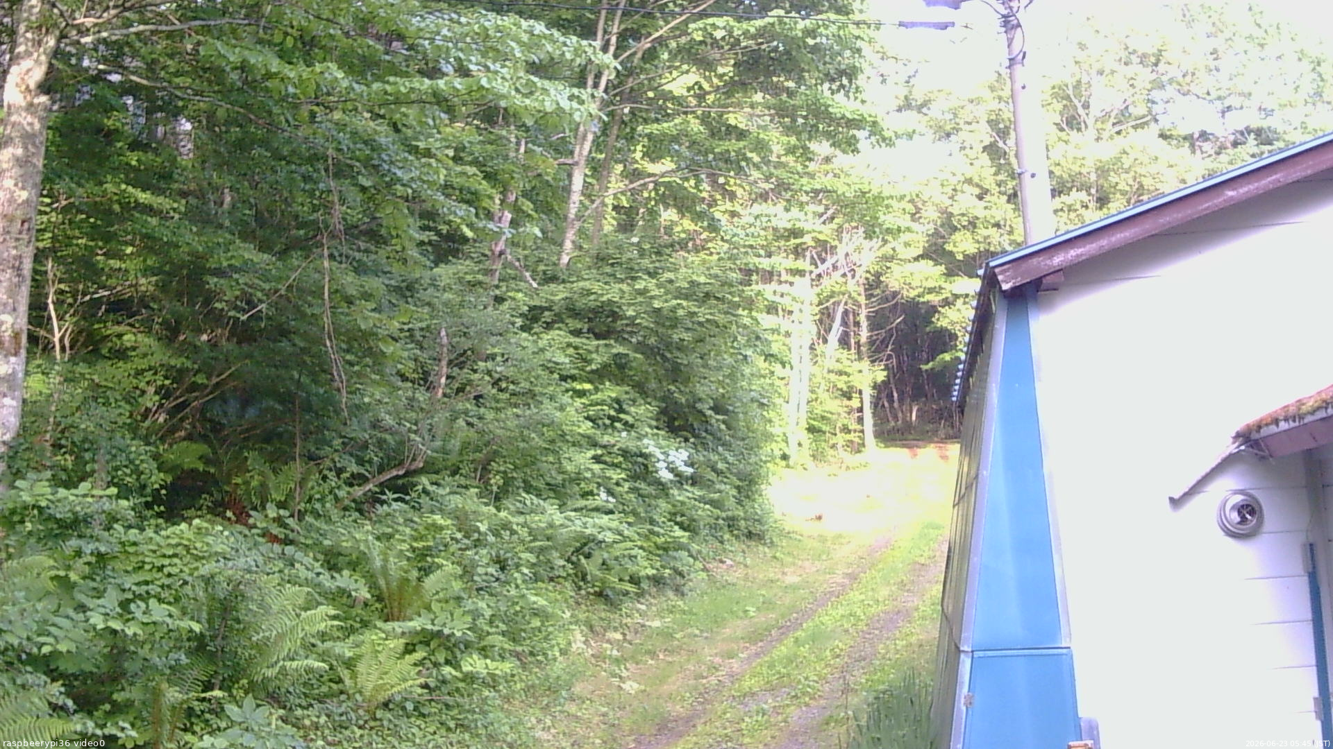 長野県菅平高原 ゆたか山荘 ゆたか山荘 2026/06/23 05:45