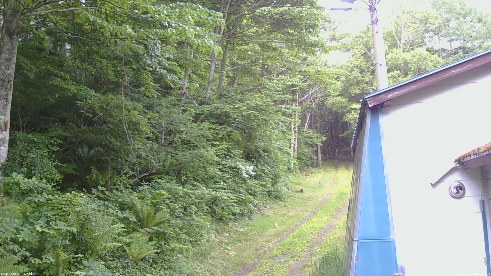 長野県菅平高原 ゆたか山荘 ゆたか山荘 2026/06/23 09:00