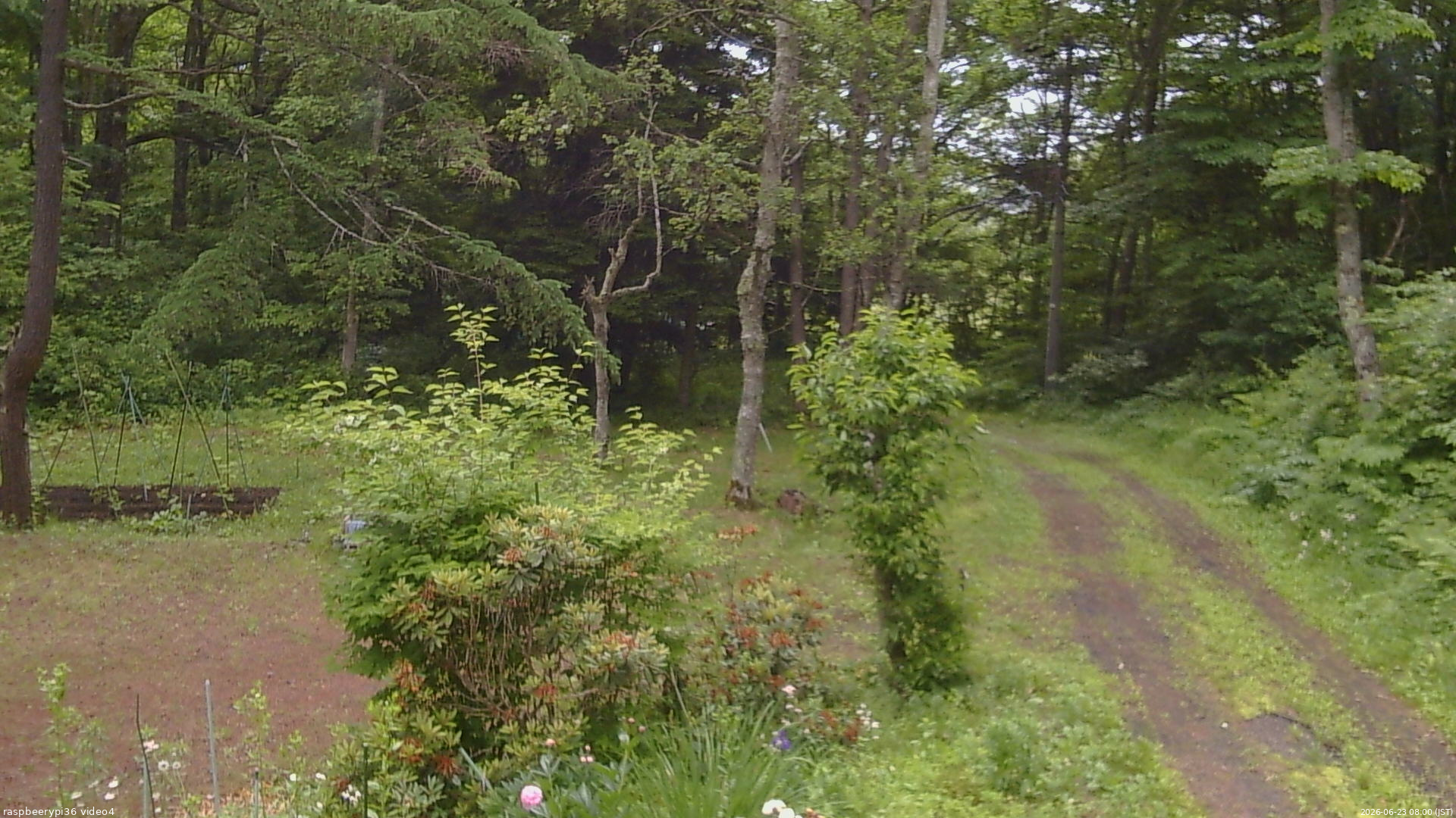 長野県菅平高原 ゆたか山荘 坂上 2026/06/23 08:00