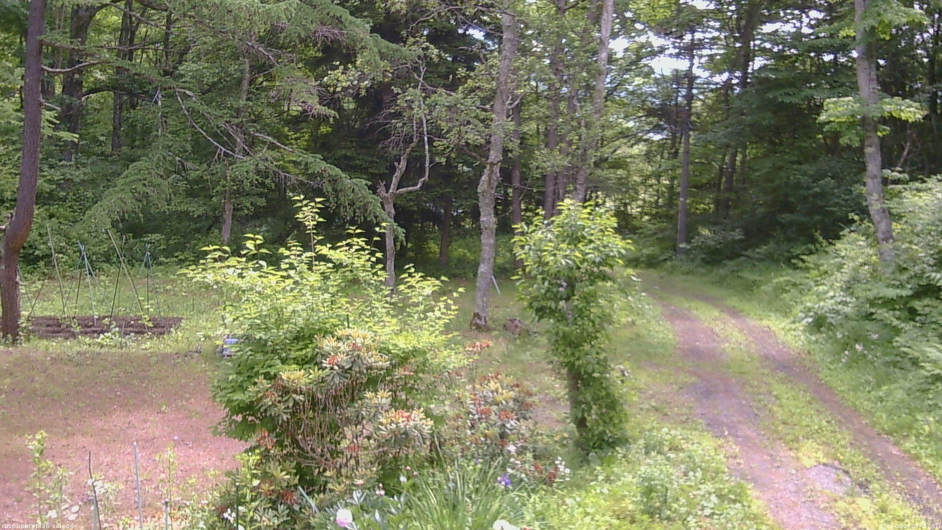 長野県菅平高原 ゆたか山荘 坂上 2026/06/23 09:45
