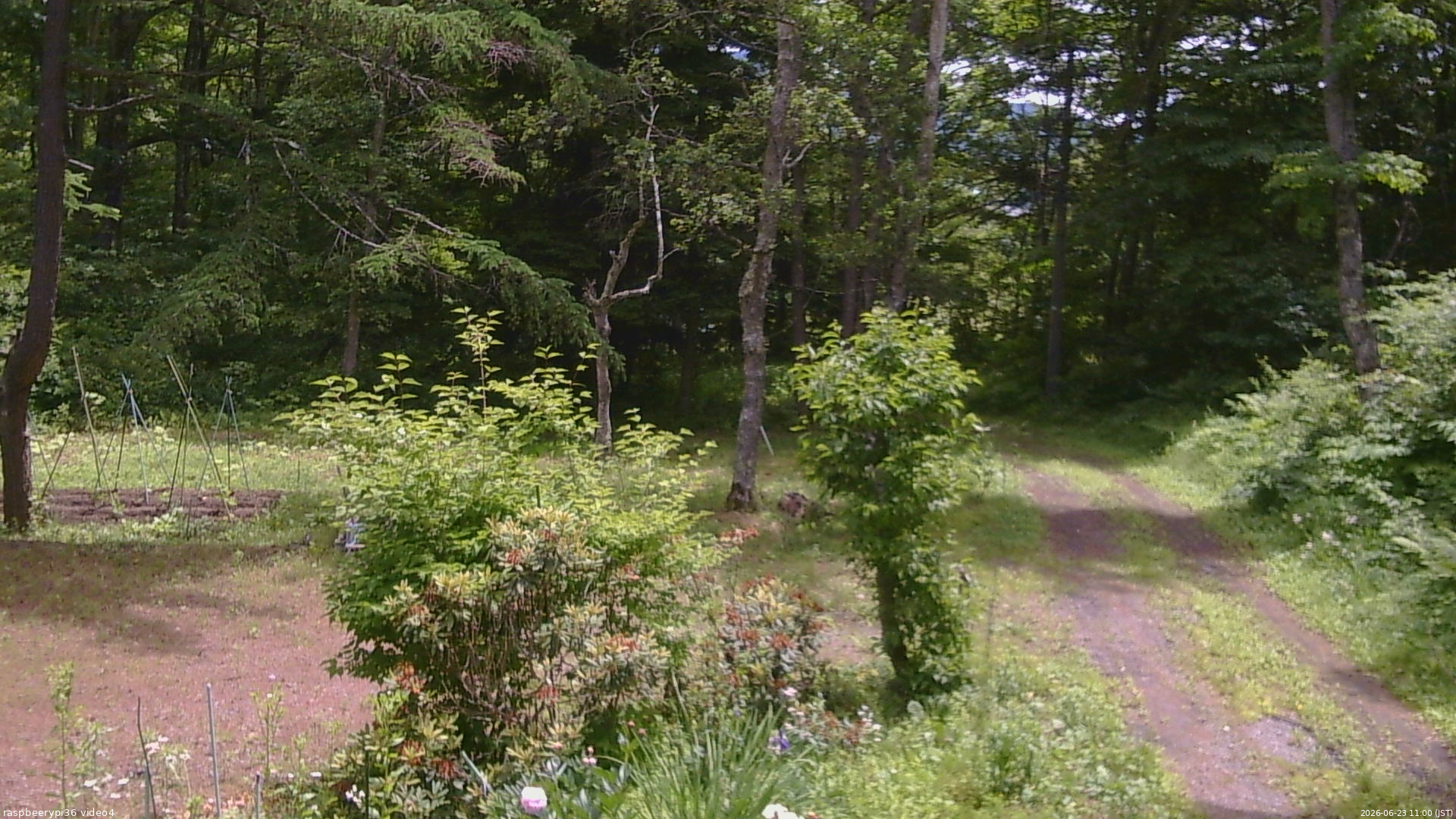 長野県菅平高原 ゆたか山荘 坂上 2026/06/23 11:00
