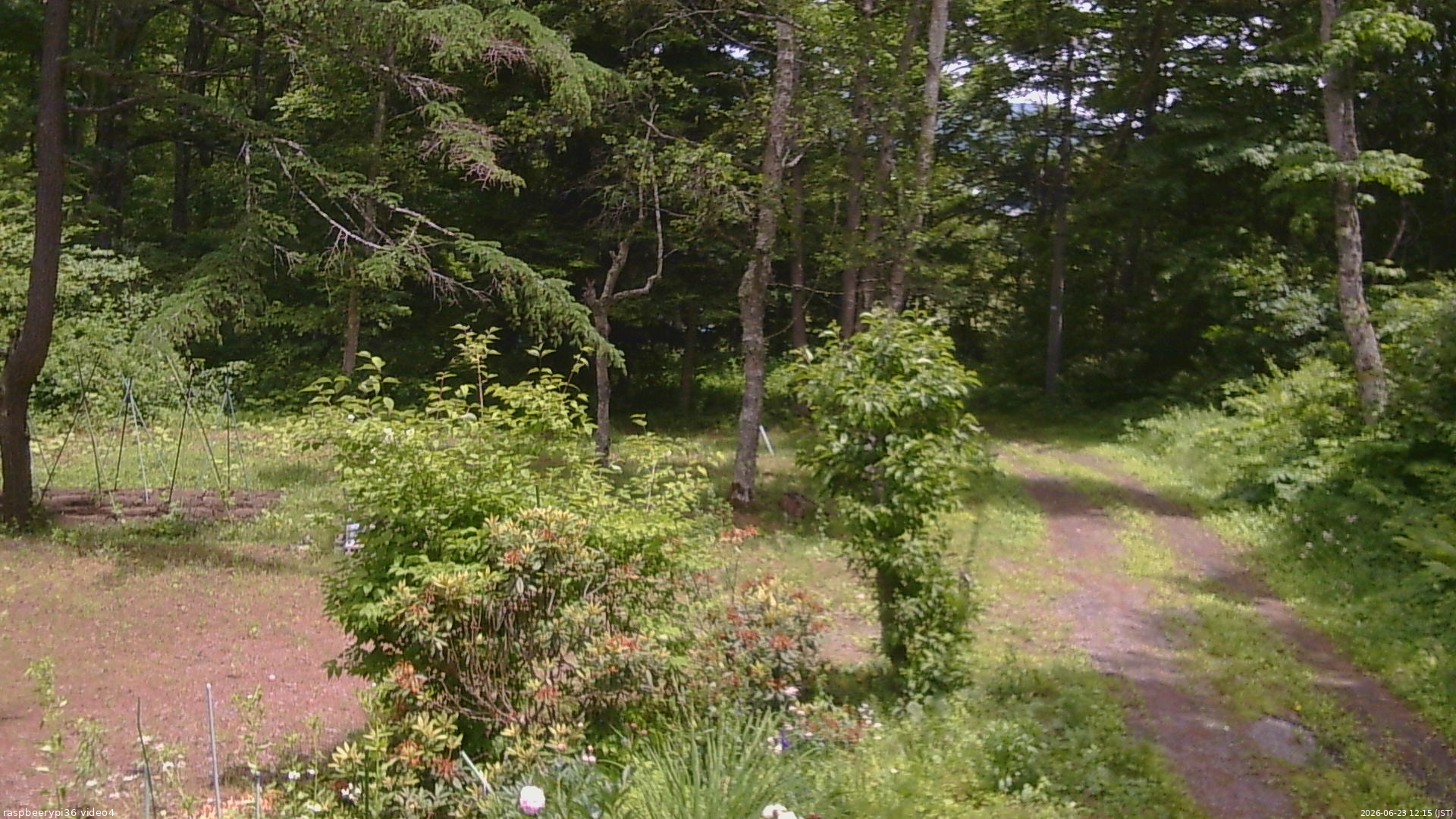 長野県菅平高原 ゆたか山荘 坂上 2026/06/23 12:15