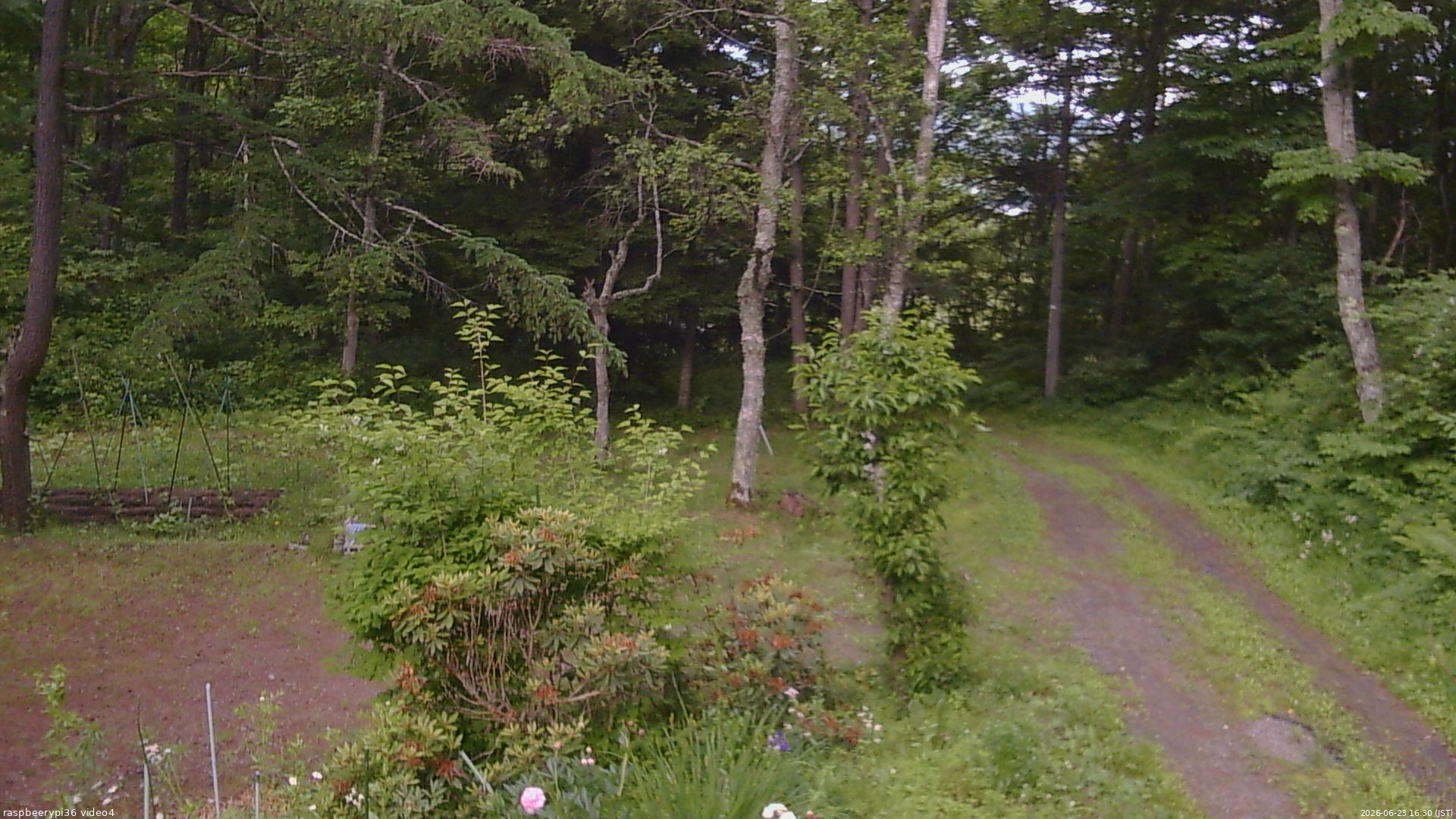 長野県菅平高原 ゆたか山荘 坂上 2026/06/23 16:30