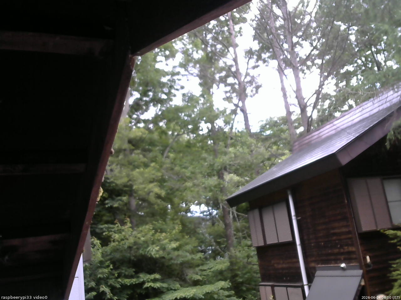 長野県菅平高原 ゆたか山荘 北側 2026/06/24 08:00