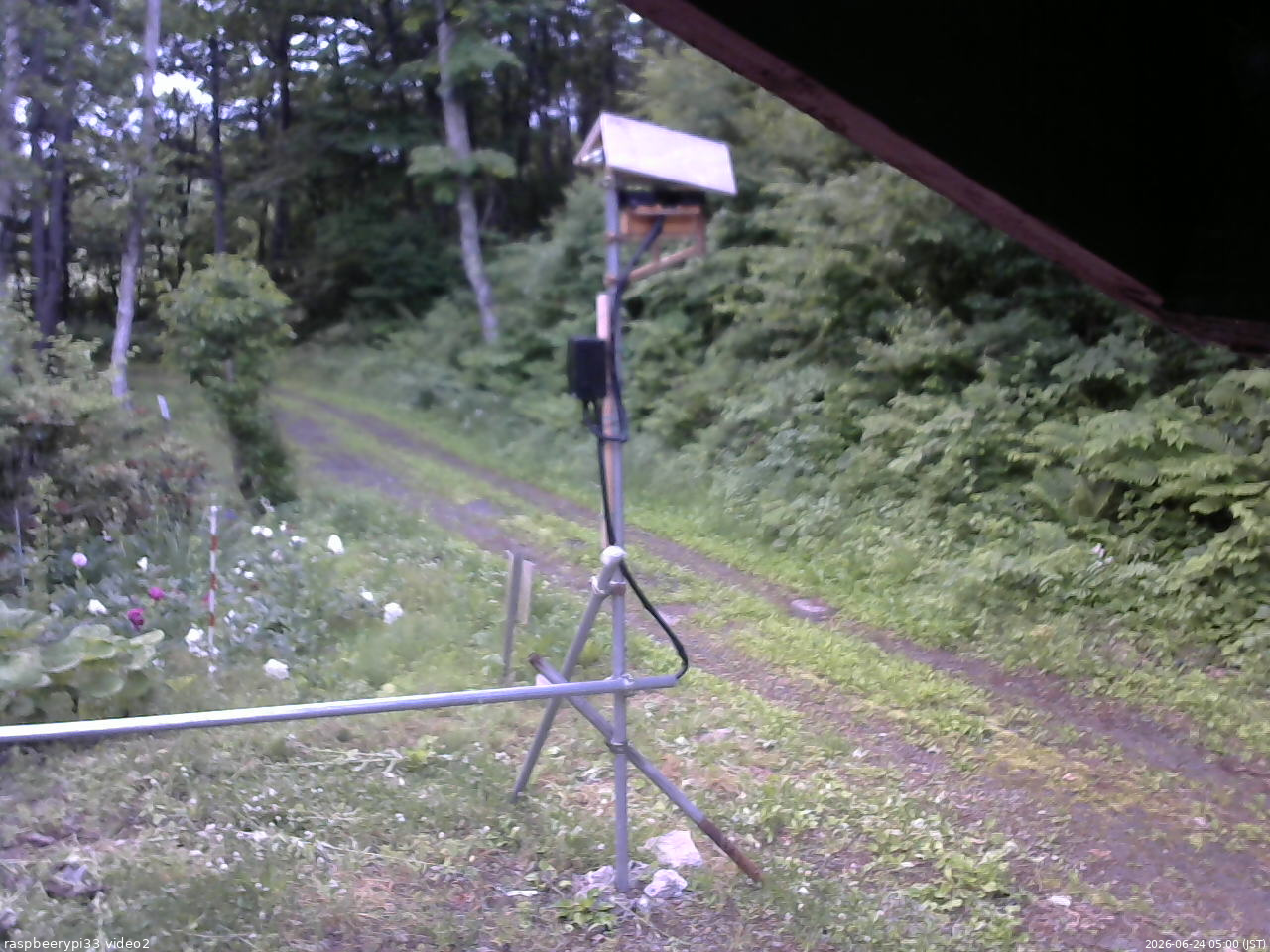 長野県菅平高原 ゆたか山荘 南側 2026/06/24 05:00