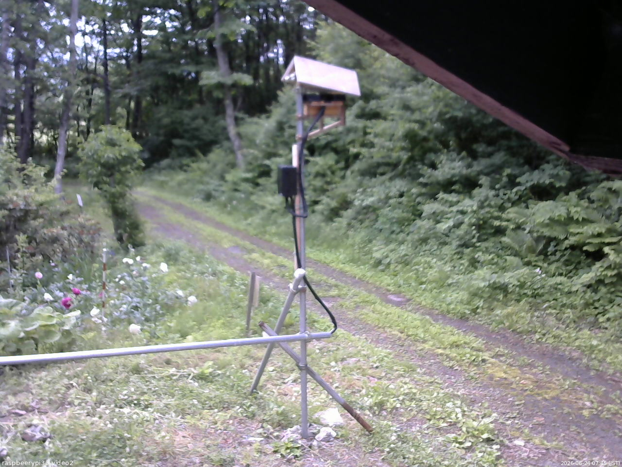 長野県菅平高原 ゆたか山荘 南側 2026/06/24 07:45