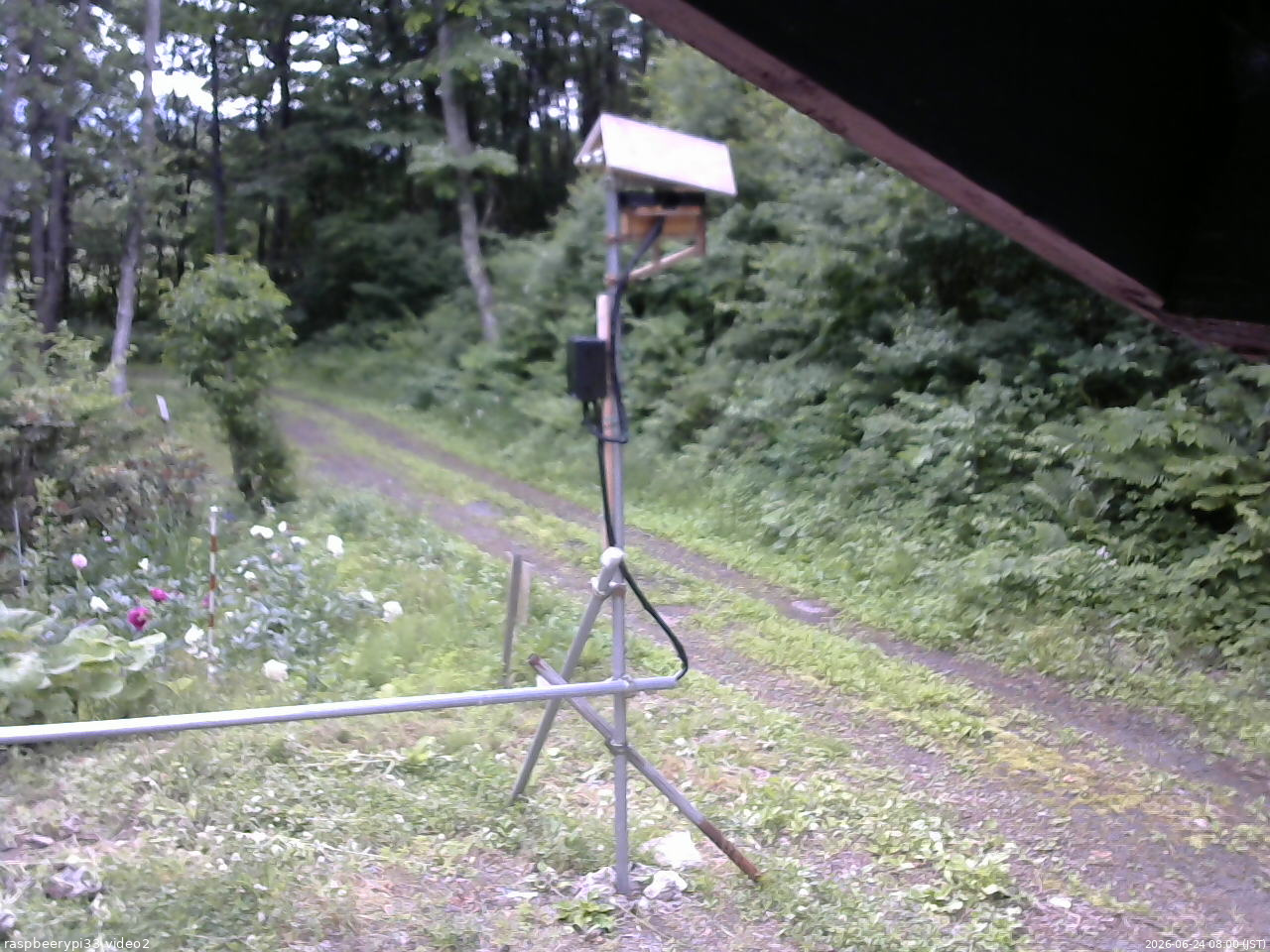 長野県菅平高原 ゆたか山荘 南側 2026/06/24 08:00