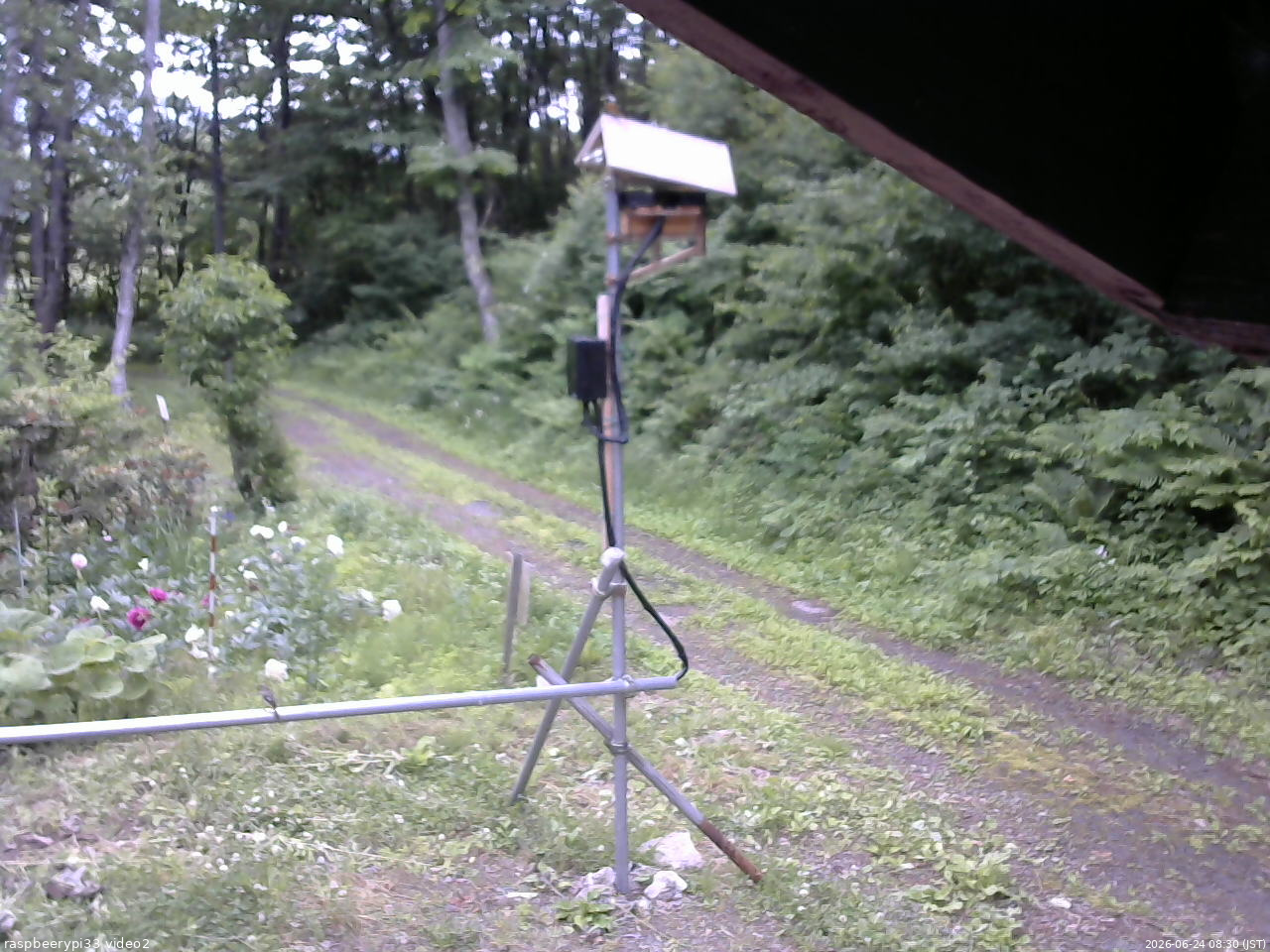 長野県菅平高原 ゆたか山荘 南側 2026/06/24 08:30