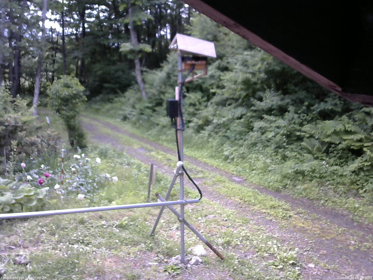 長野県菅平高原 ゆたか山荘 南側 2026/06/24 08:45