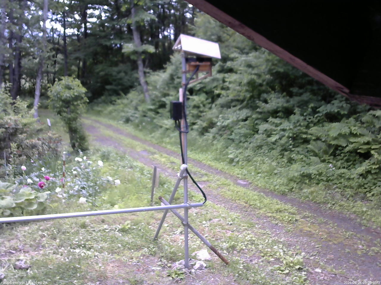 長野県菅平高原 ゆたか山荘 南側 2026/06/24 09:00
