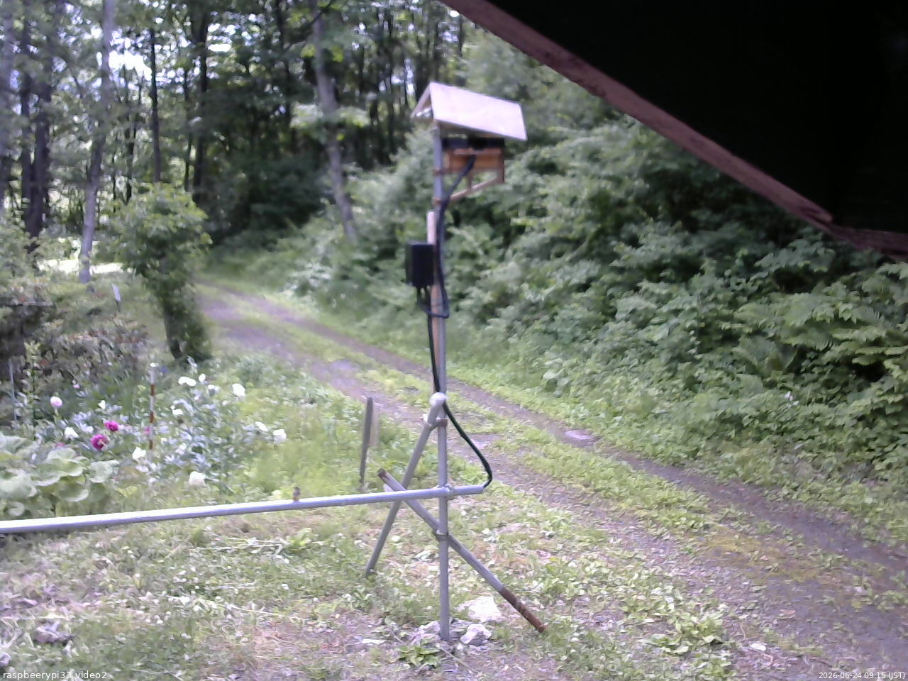 長野県菅平高原 ゆたか山荘 南側 2026/06/24 09:15