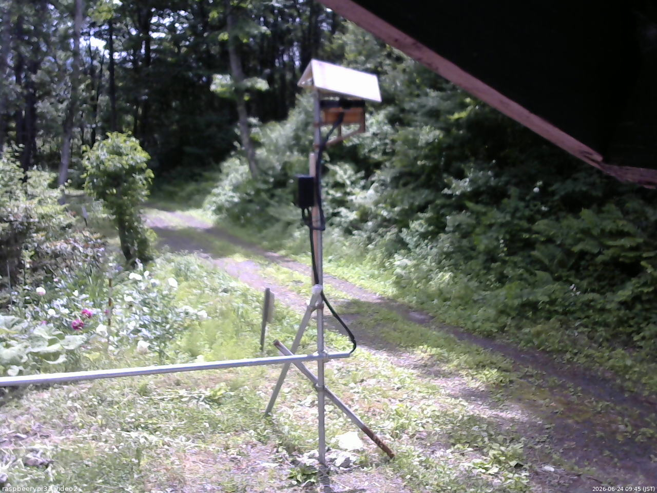 長野県菅平高原 ゆたか山荘 南側 2026/06/24 09:45