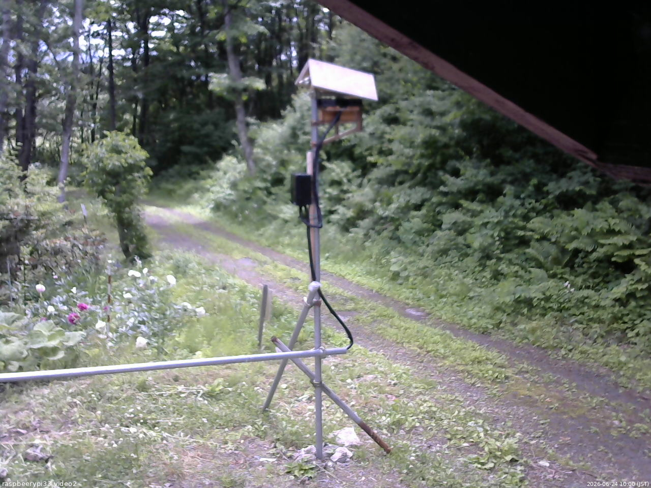 長野県菅平高原 ゆたか山荘 南側 2026/06/24 10:00